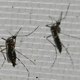 Illustration for article titled Sperm Banks and Fertility Clinics Taking Steps to Keep the Zika Virus Out of Their Supply